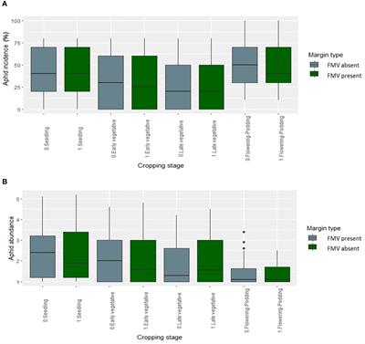 Lablab (Lablab purpureus L.) genotypes and field margin vegetation influence bean aphids and their natural enemies